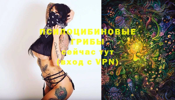 мдма Корсаков