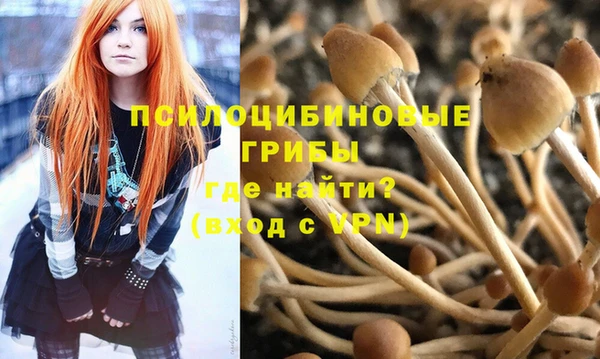 дурь Коряжма
