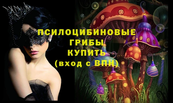 дурь Коряжма
