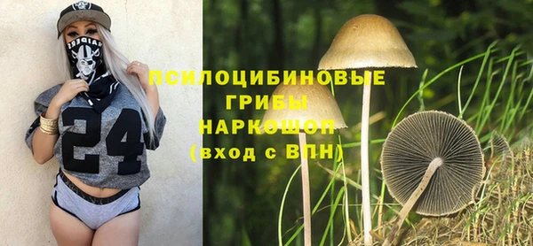 дурь Коряжма